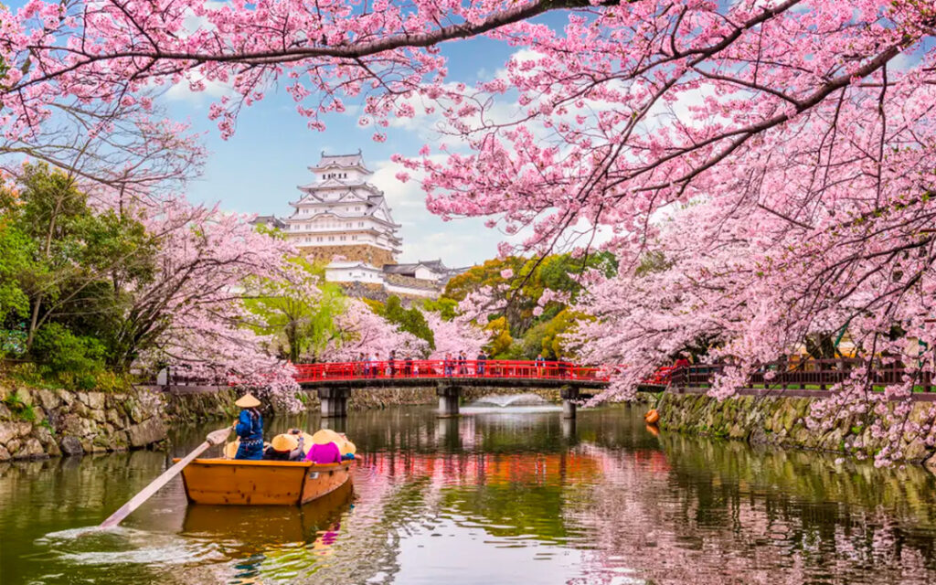 🌸 Temporada de Cerezos en Japón 2026: ¿Cuándo Viajar para Ver los Sakura en Tokio, Kioto y Osaka?